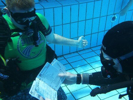 Pool Bild 3 Pool Bild 3
