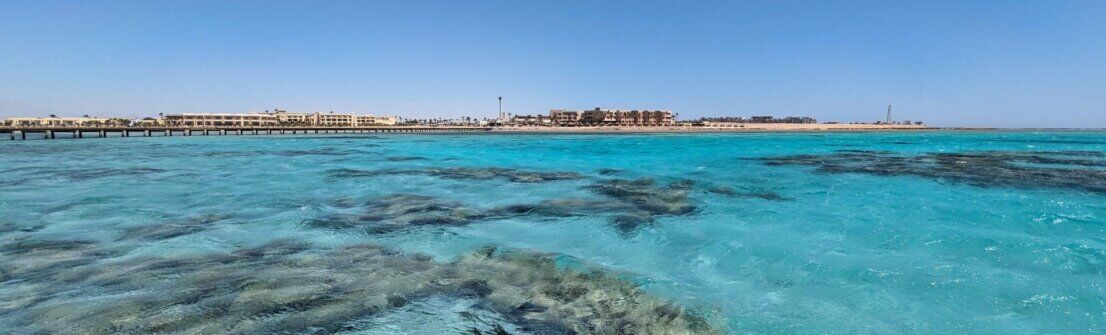 SomaBay0